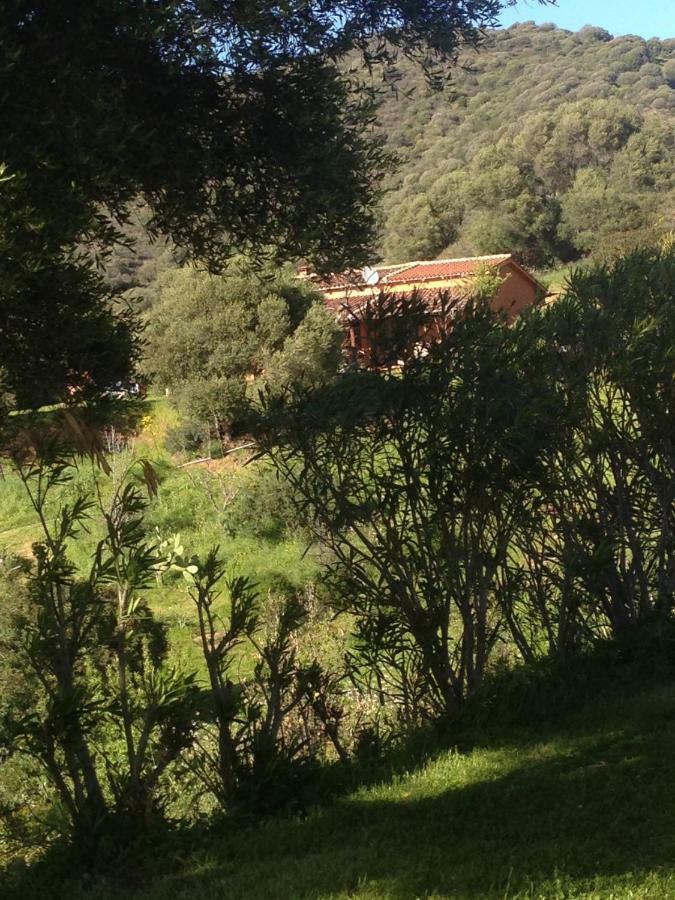 Maison d'hôtes Amalfatah *